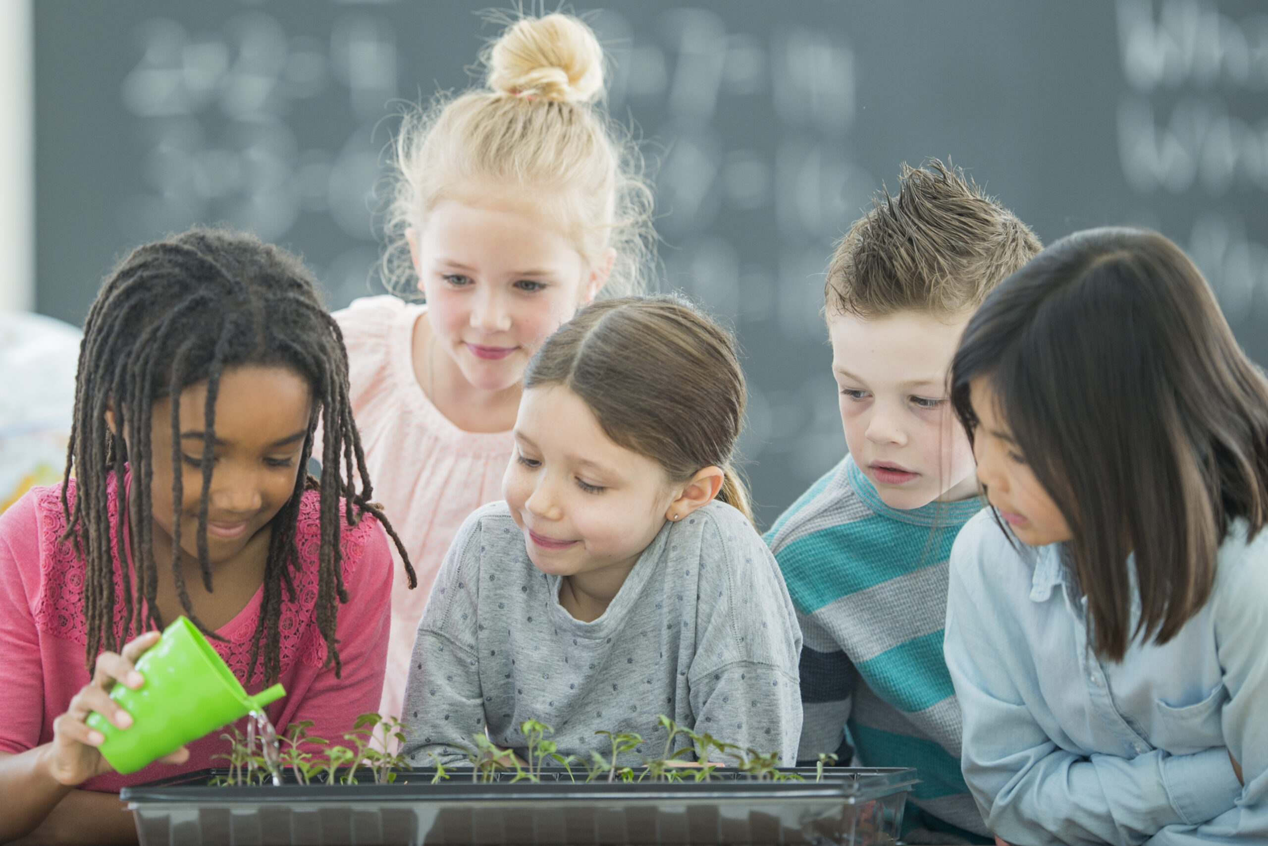 Got Spring Fever? - The Teaching Bank