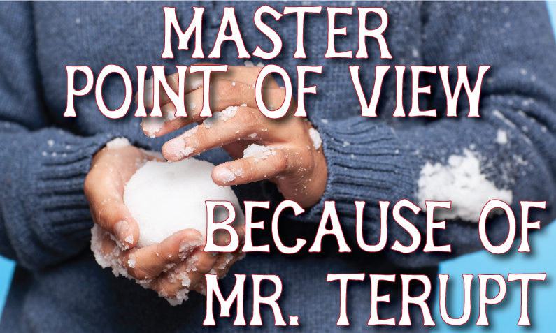 Because of Mr. Terupt Novel Study: Teaching Point of View, Character, and More