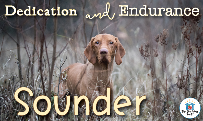 Dedication and Endurance with Sounder