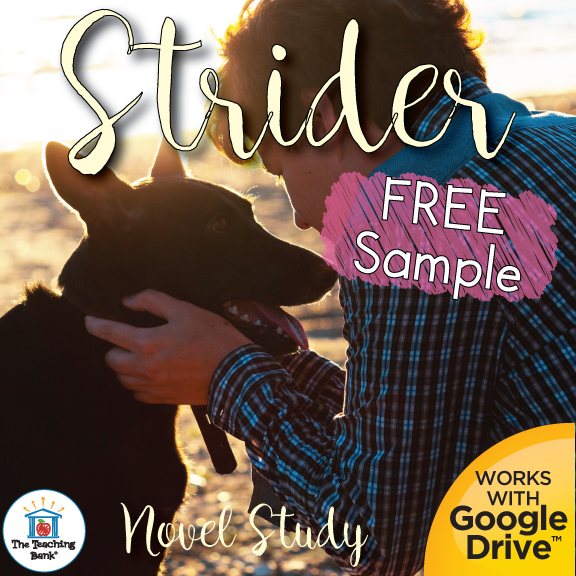 Strider Novel Study FREE Sample