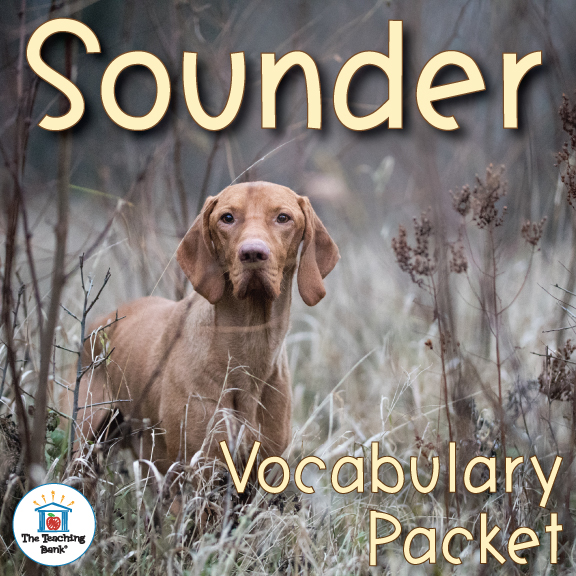 Sounder Vocabulary Packet