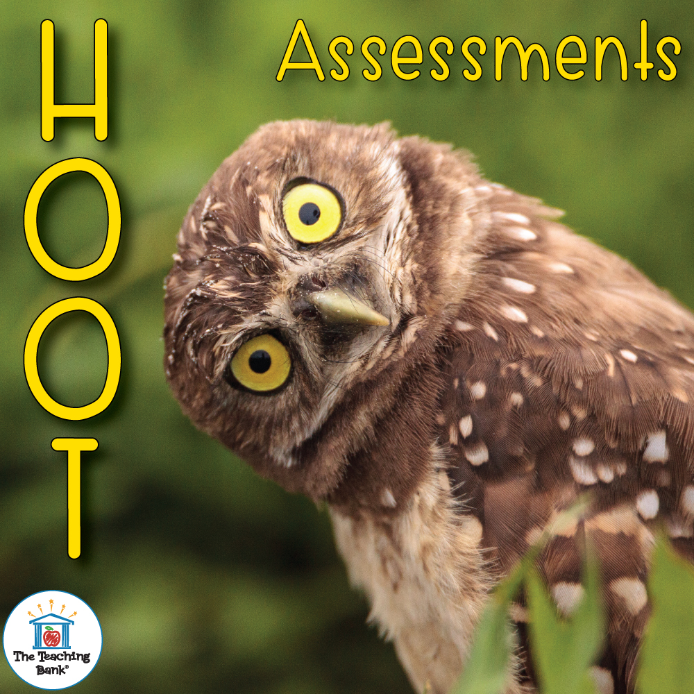 Hoot Assessment Packet