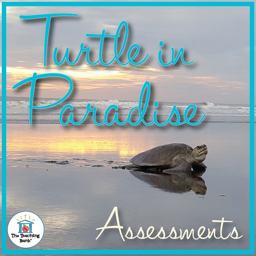 Turtle in Paradise Assessment Packet