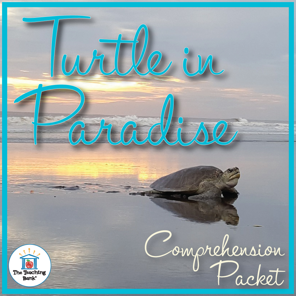 Turtle in Paradise Comprehension Packet