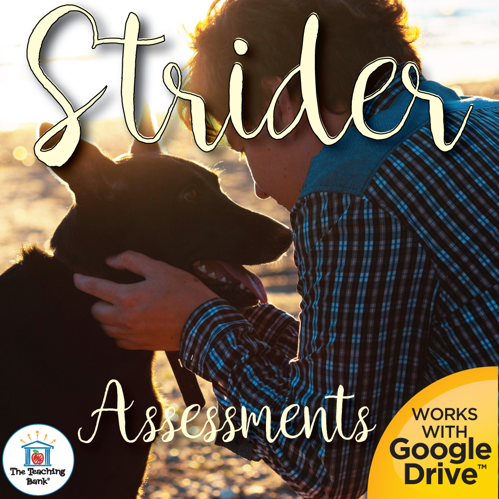 Strider Book Unit Assessments for Google Forms