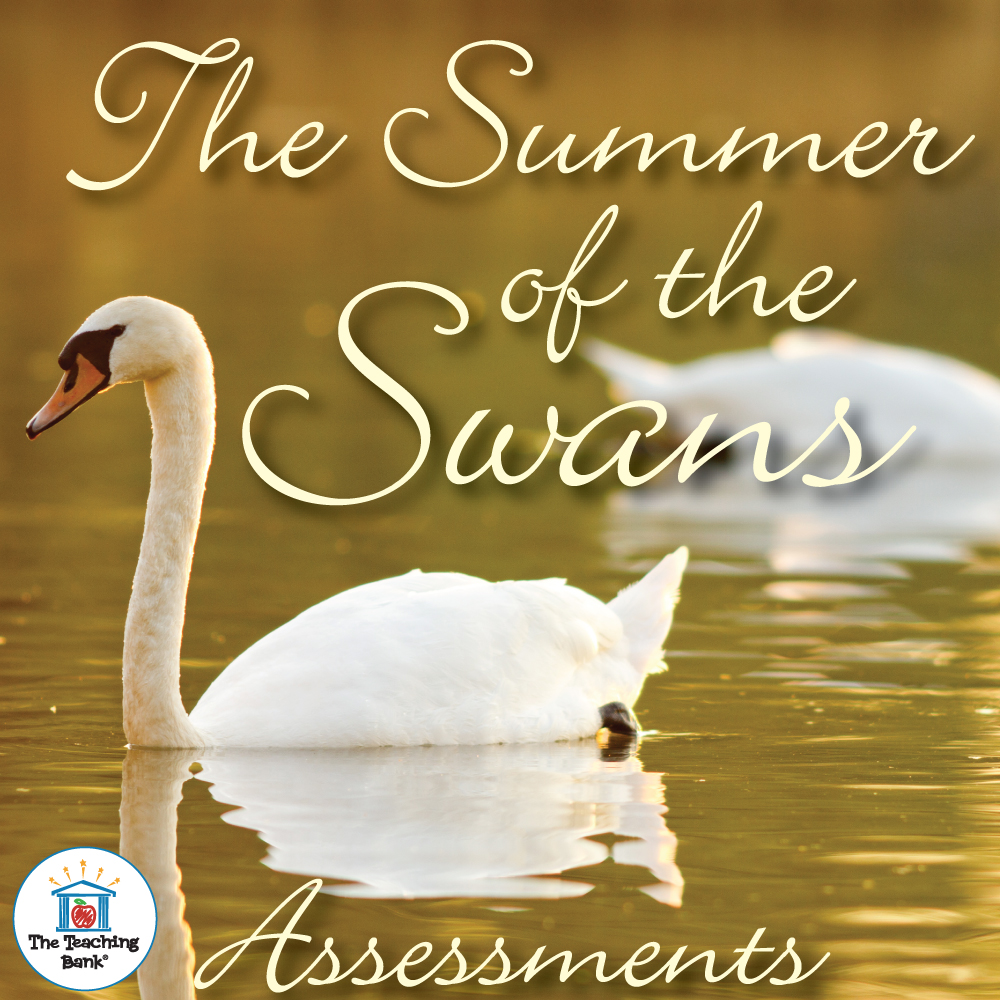 The Summer of the Swans Assessment Packet