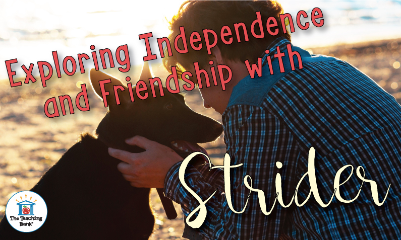 Exploring Independence and Friendship with Strider
